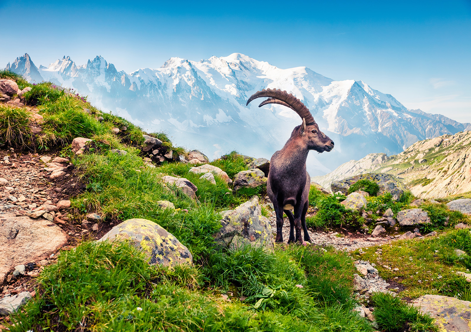 Swiss, French & Italian Alps Family Adventure Tour for Teens & 20s