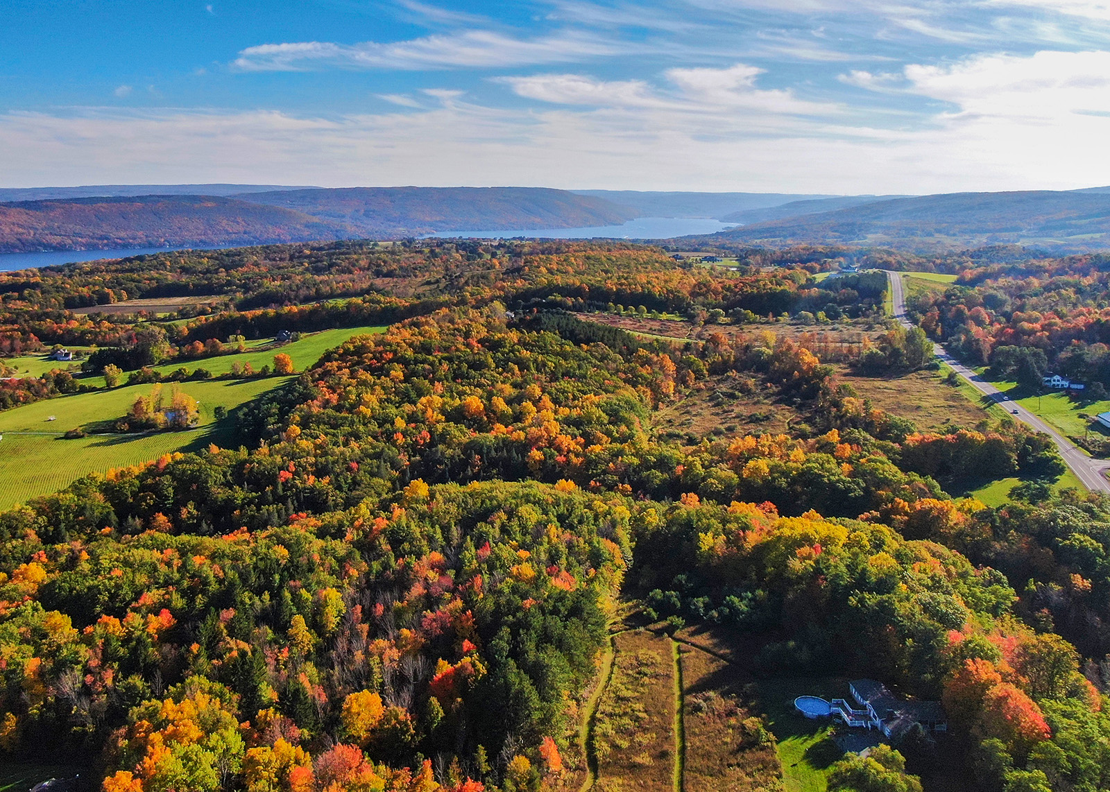 Bird's eye shot of autumnal forest.