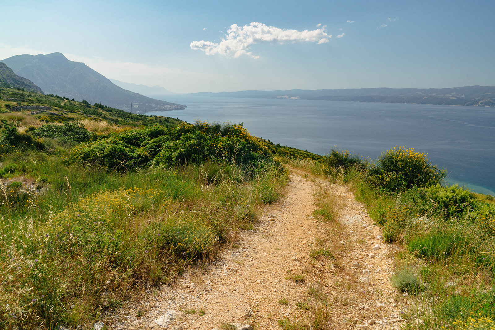 POV shot on coastal trail, ocean to right.