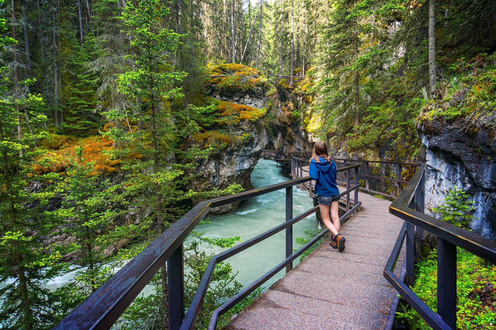 Guest on bridge over river, looking out towards forest.