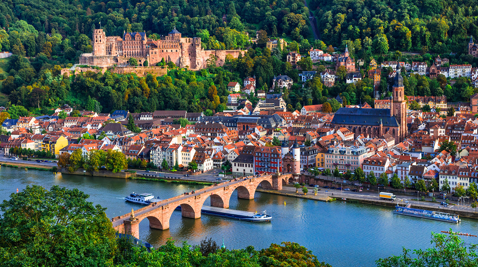 Ship Under Rhine River Bridge