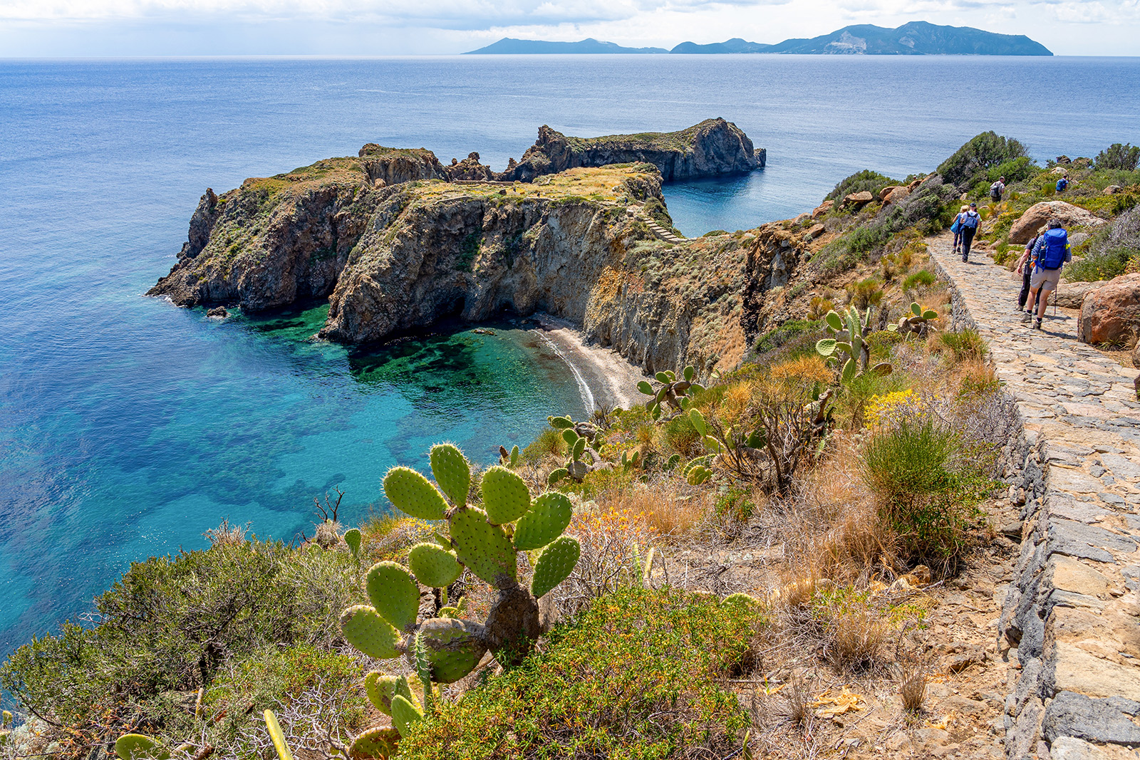 Guest walking past cacti, ocean cliffs, blue water.