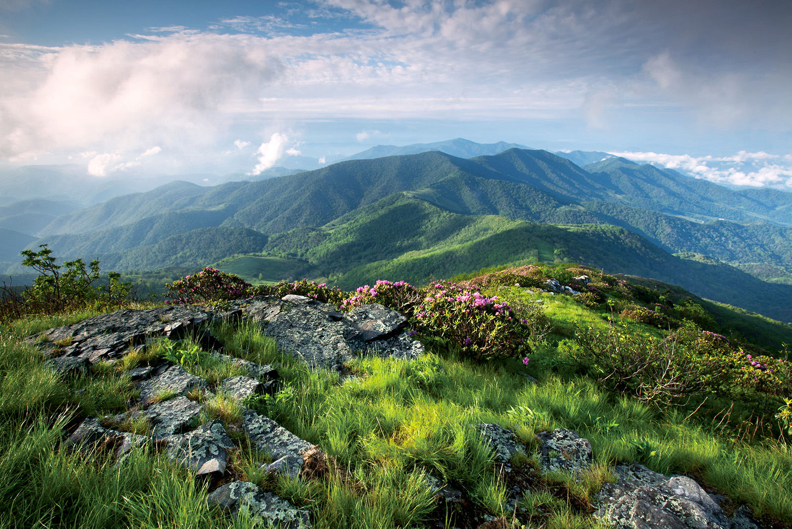 Wide shot of grassy, mountain vista. Large clouds.