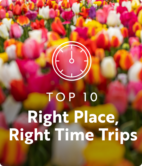 clock icon, Top 10 Right Place Right Time Trips, Tulips image