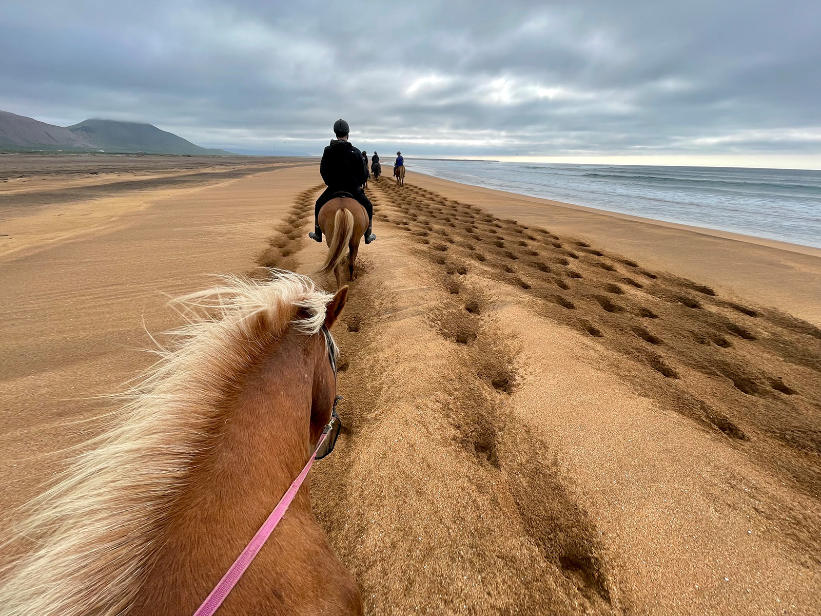 POV Icelandic Horse Trail Iceland