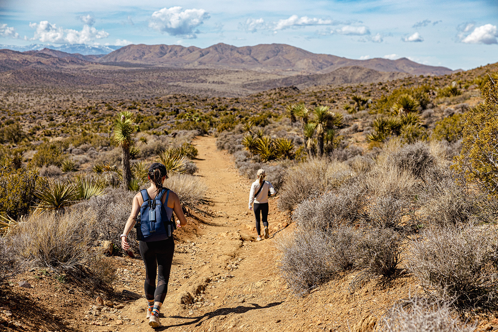 California's Palm Springs & Joshua Tree Women's Hiking & Walking 4