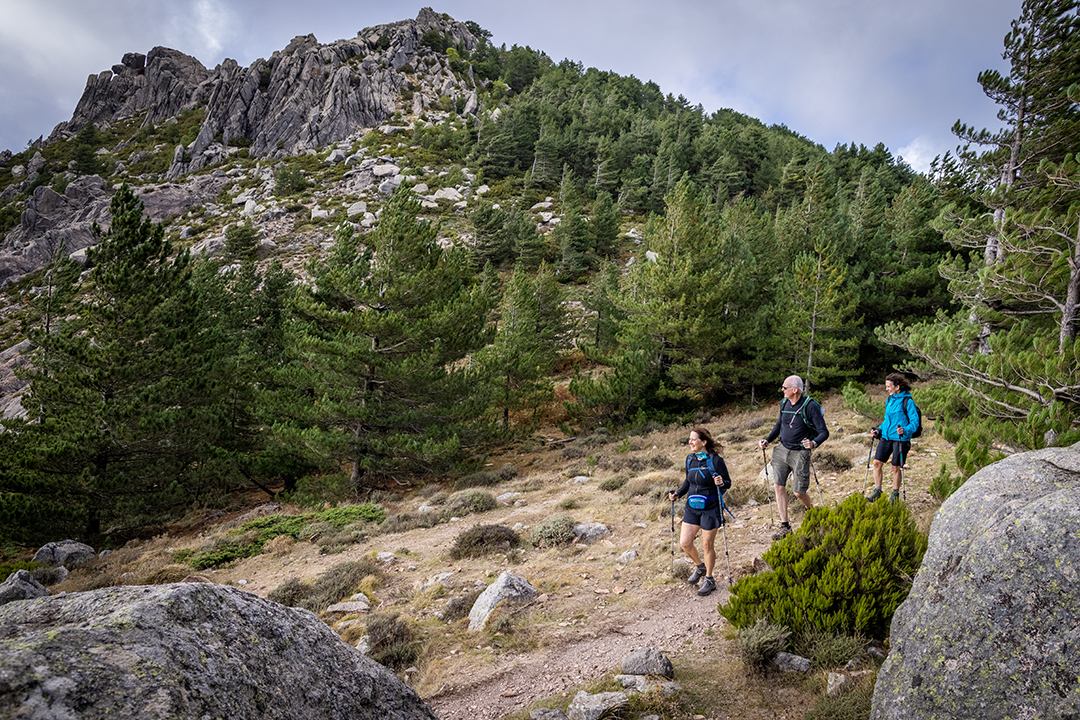 Two women and one man with hiking poles descending a gravel trail with tall trees in the background