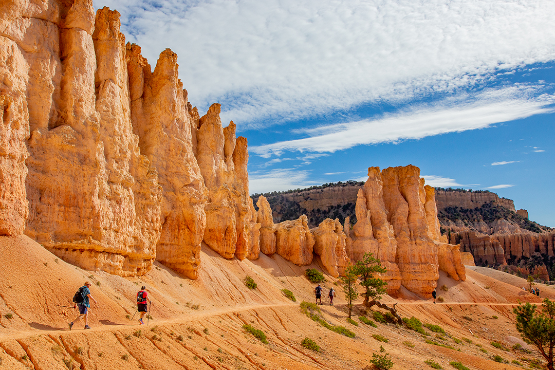Group of hikers walking through orange canyons, with minimal trees scattered throughout