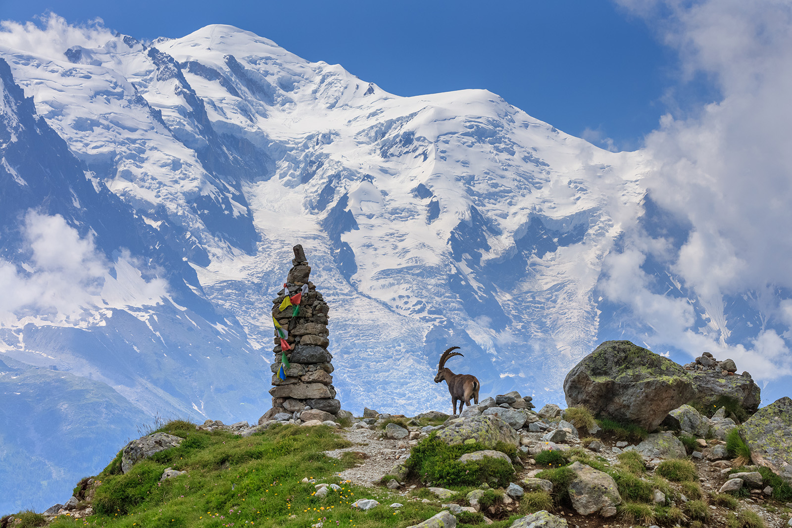 A ram next to a stack of rocks, with large snow-capped mountains in the background