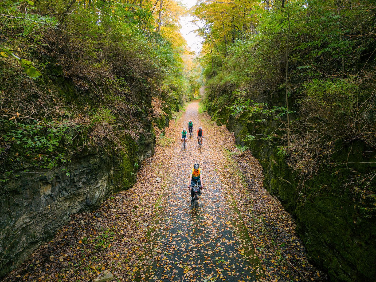 Four bikers on a road full of leaves and surrounded by forest