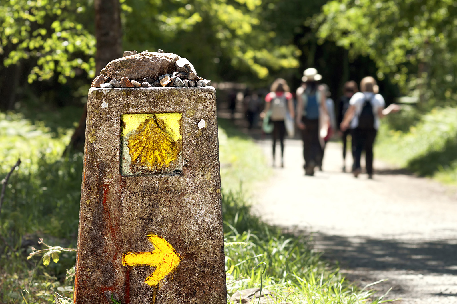 Sign for the camino