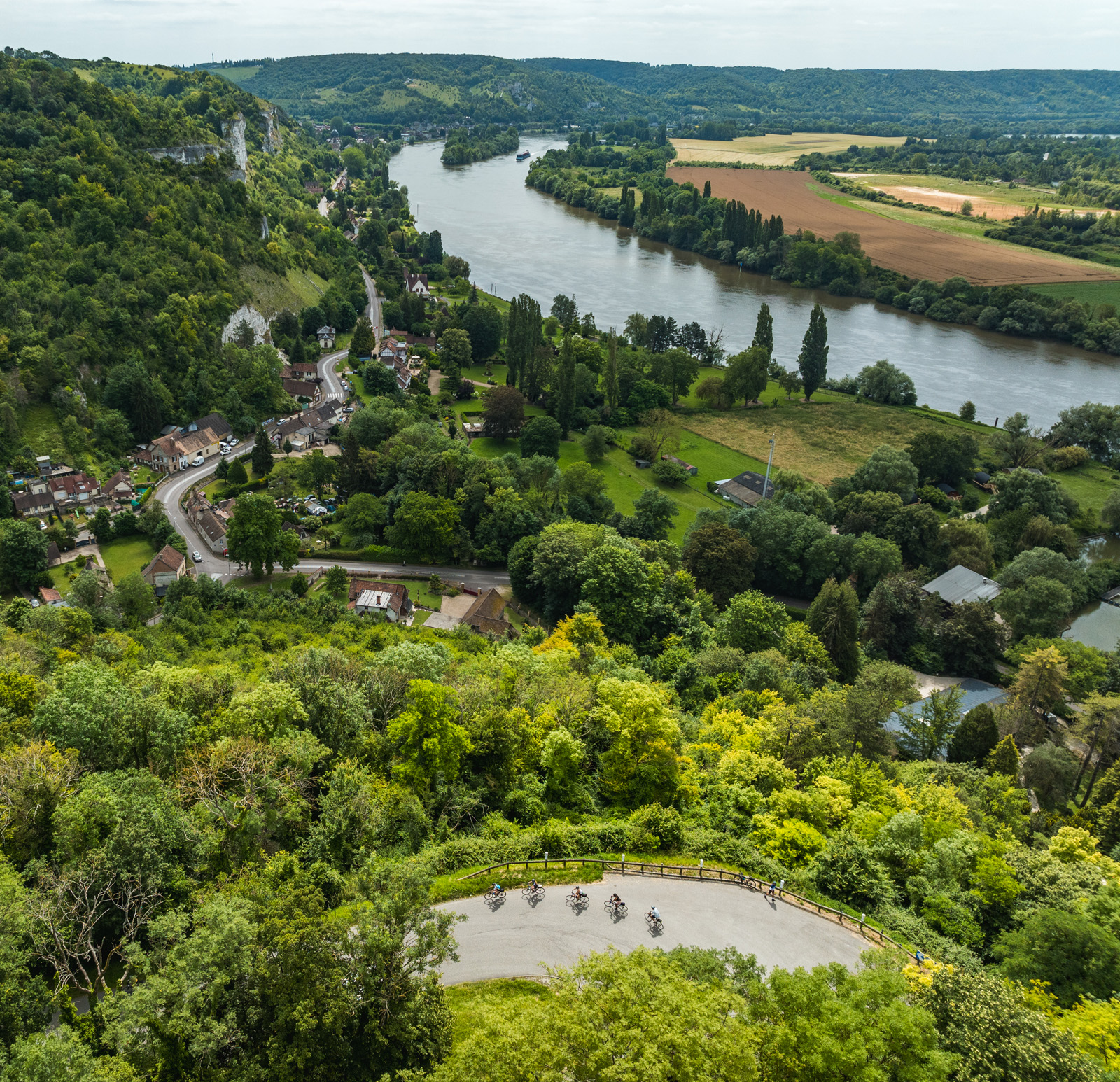 greenery next to river