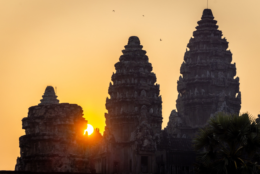 sunrise
