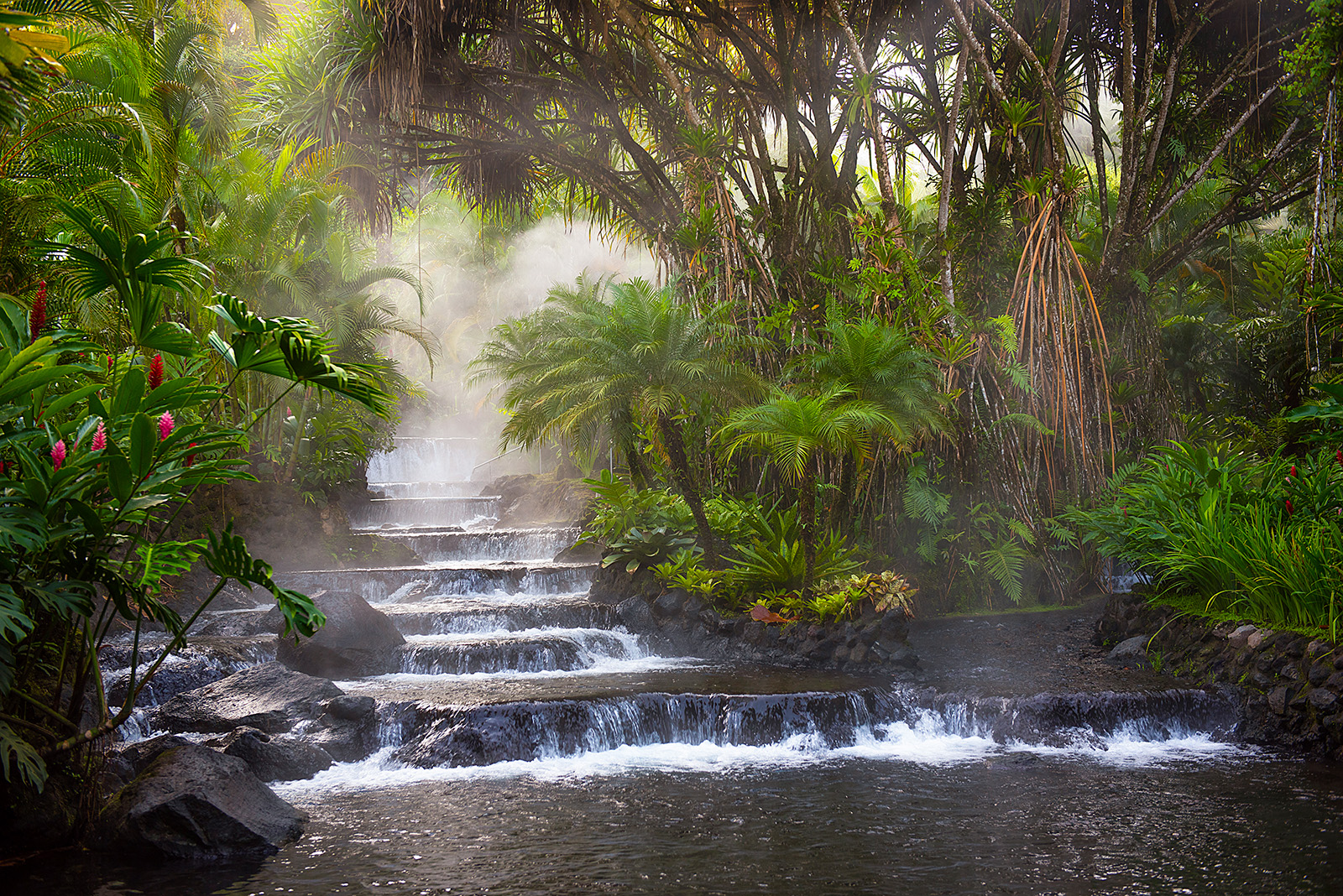 Natural hot spring waterfall, with small steps, surrounded by exotic trees and plants