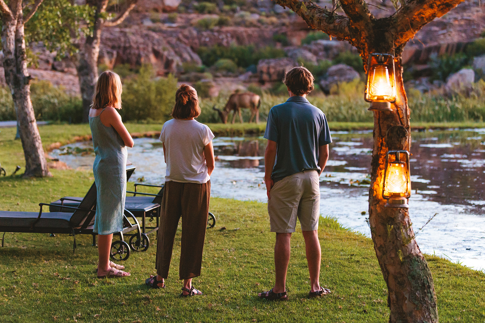 A group of people admire a grazing animal