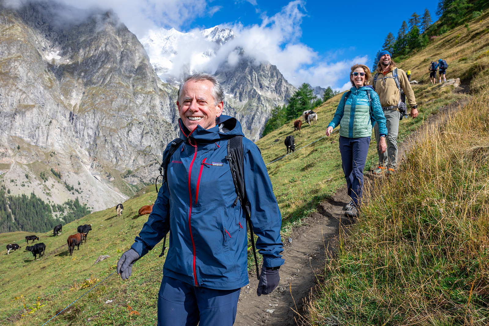 Man hiking down a dirt path, with a large mountain and cows on a grass field in the background