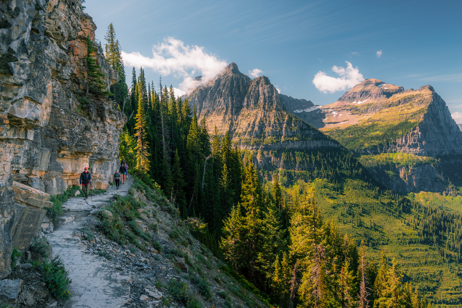 Hikers on a gravel trail with tall pine trees along tall mountains