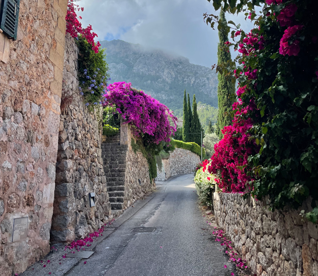 Alleyway surrounded by stone walls and pink flowers