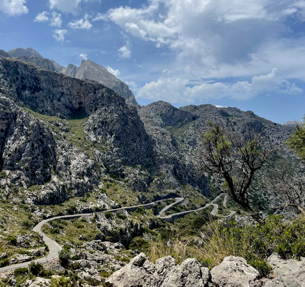 Rocky, grassy cliff full of trees and clouds