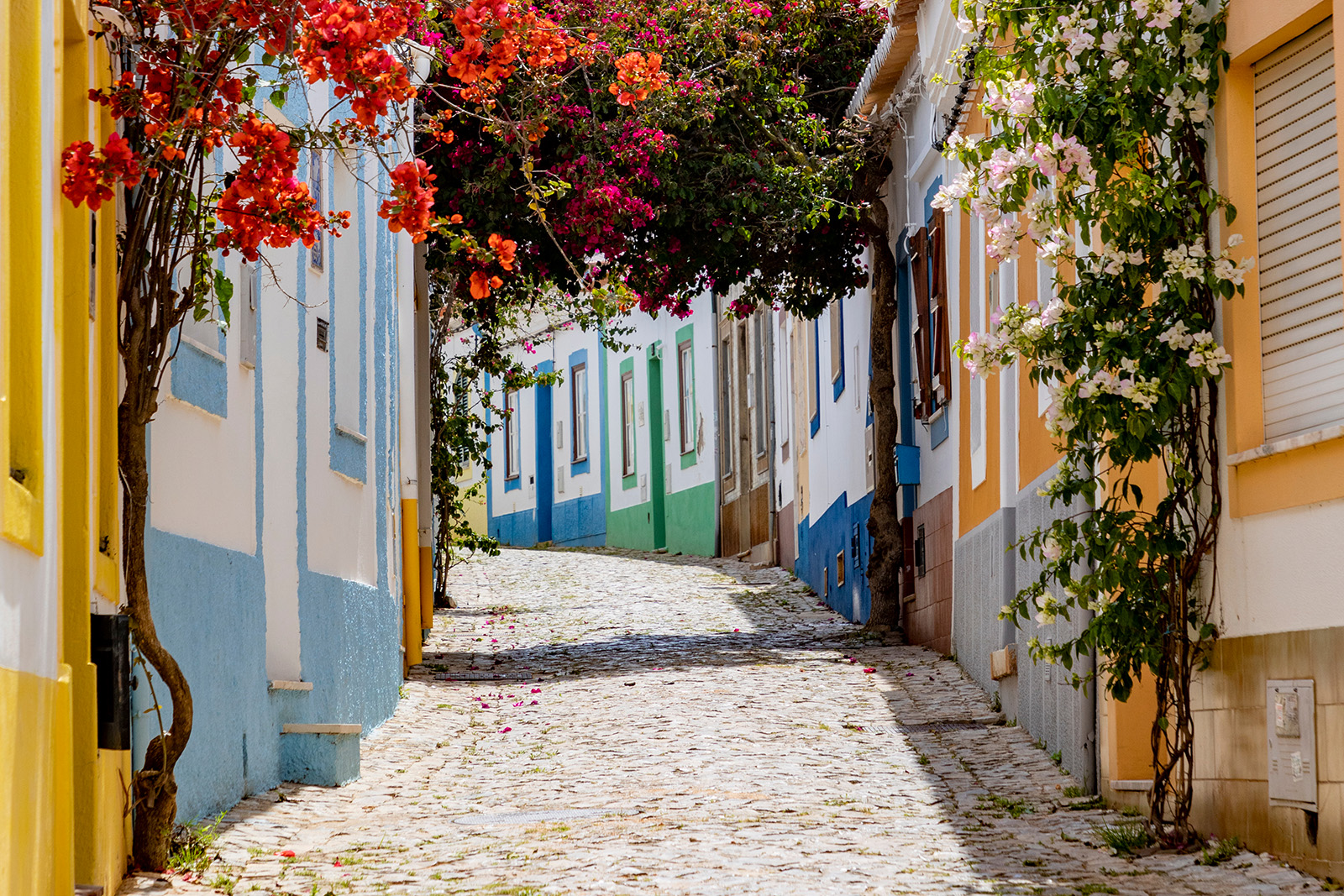Stone alleyway surrounded by flowers and buildings on both sides