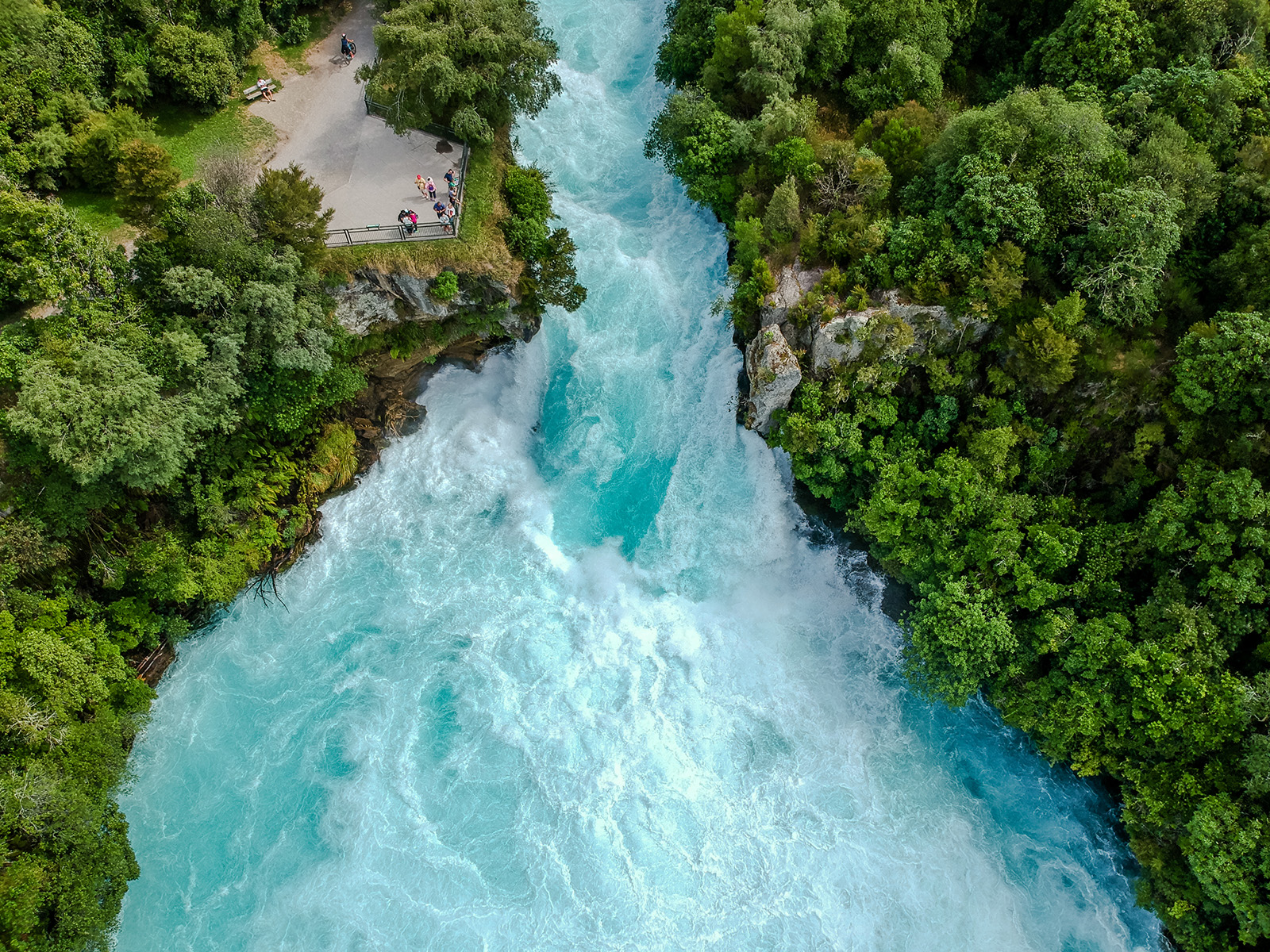 Jungle with a large river cutting through two pieces of land
