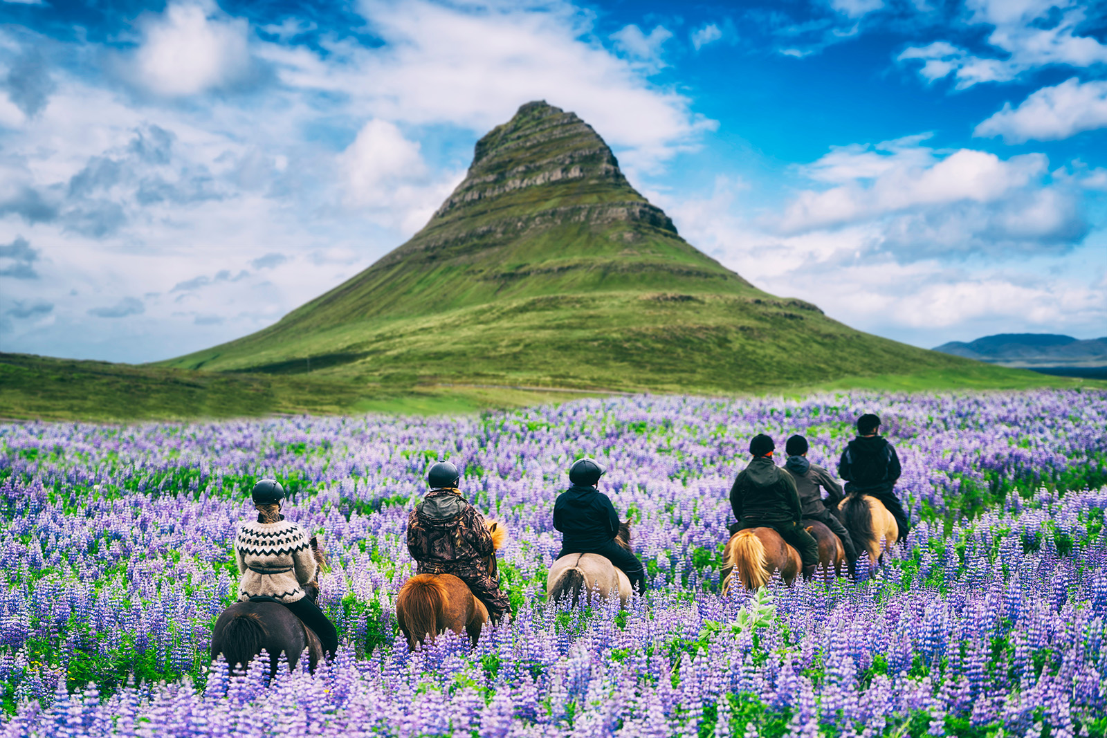 Group of people riding horses in a field surrounded by flowers