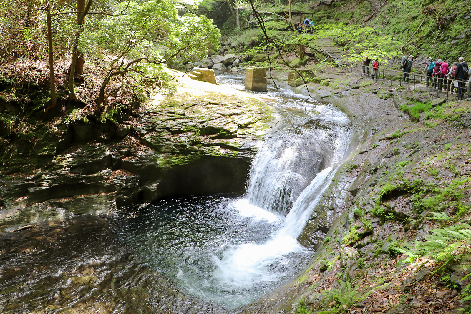 Small waterfall on a river in the middle of a forest