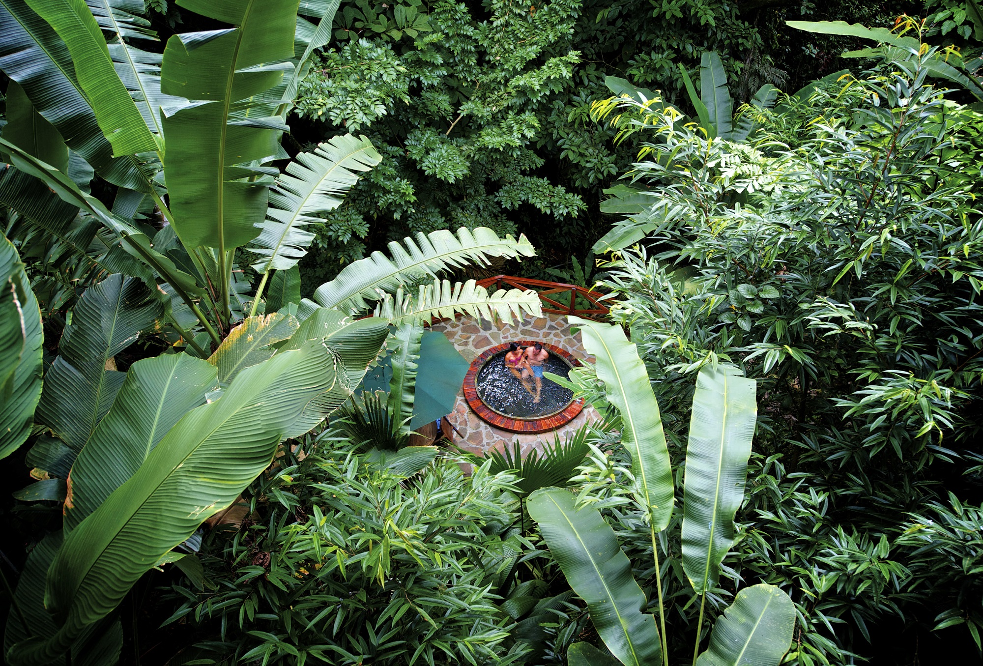 Outdoor hot tub surrounded by tall plants and trees
