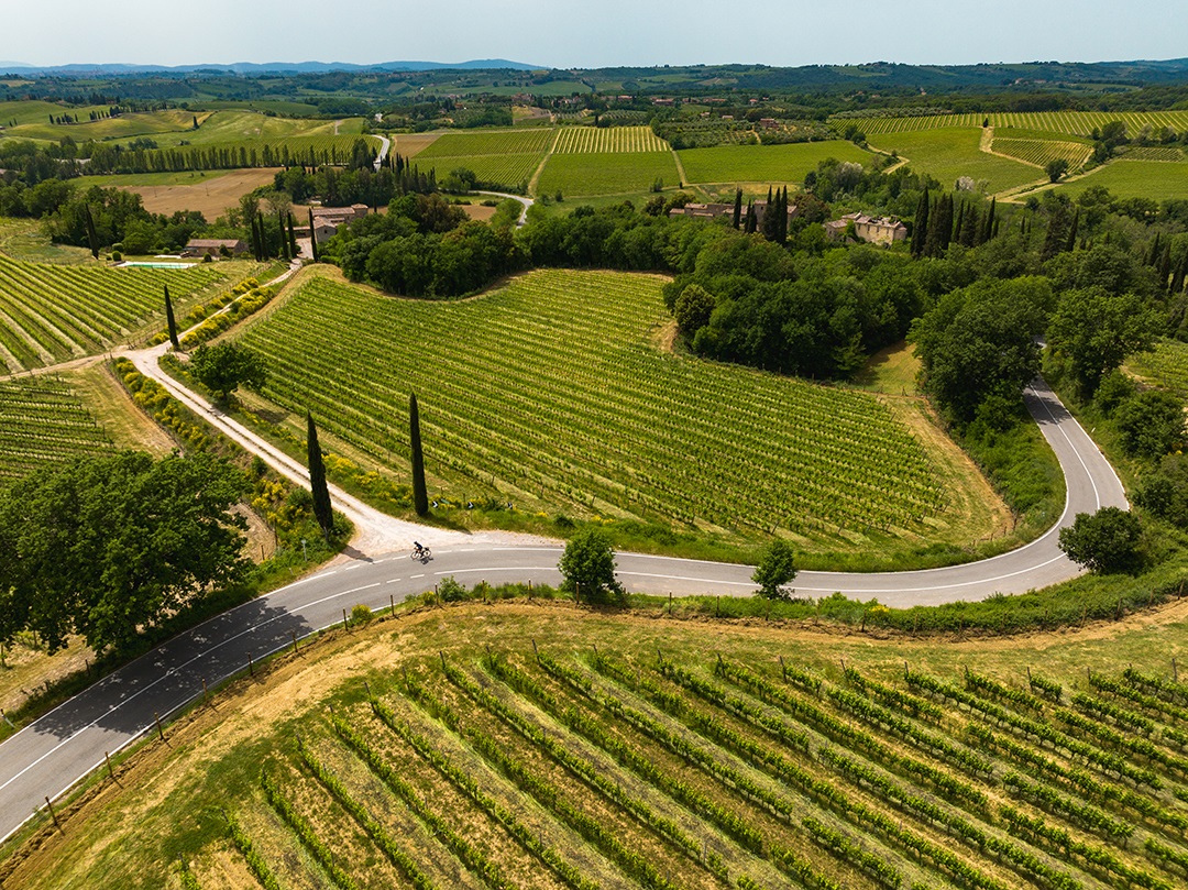 Large grass and crop valley with trees in the distance