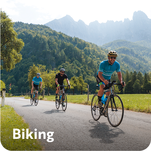 Group of people biking on a road surrounded by grass fields