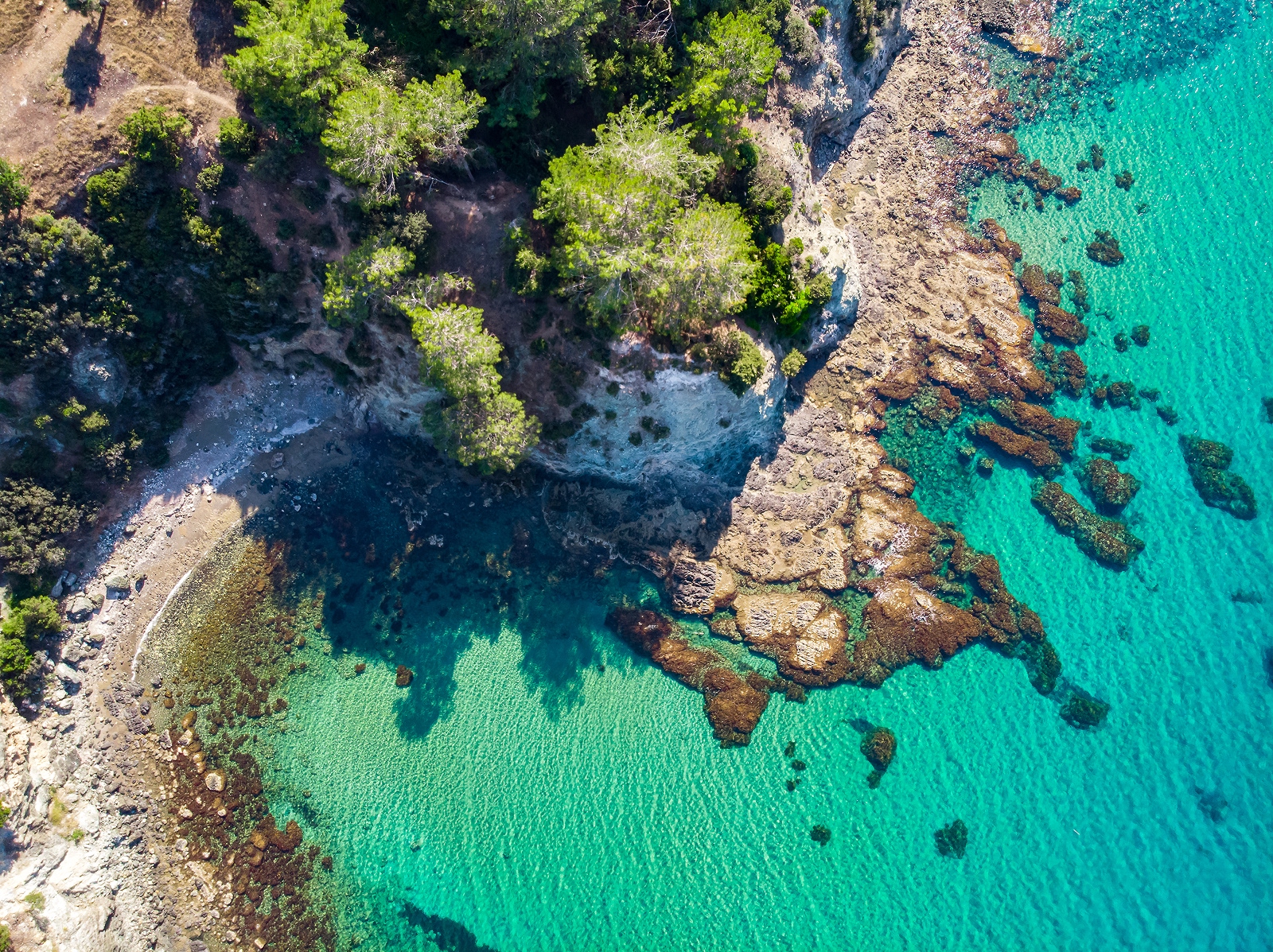 Sky view of a beach shore with trees and large cliffs