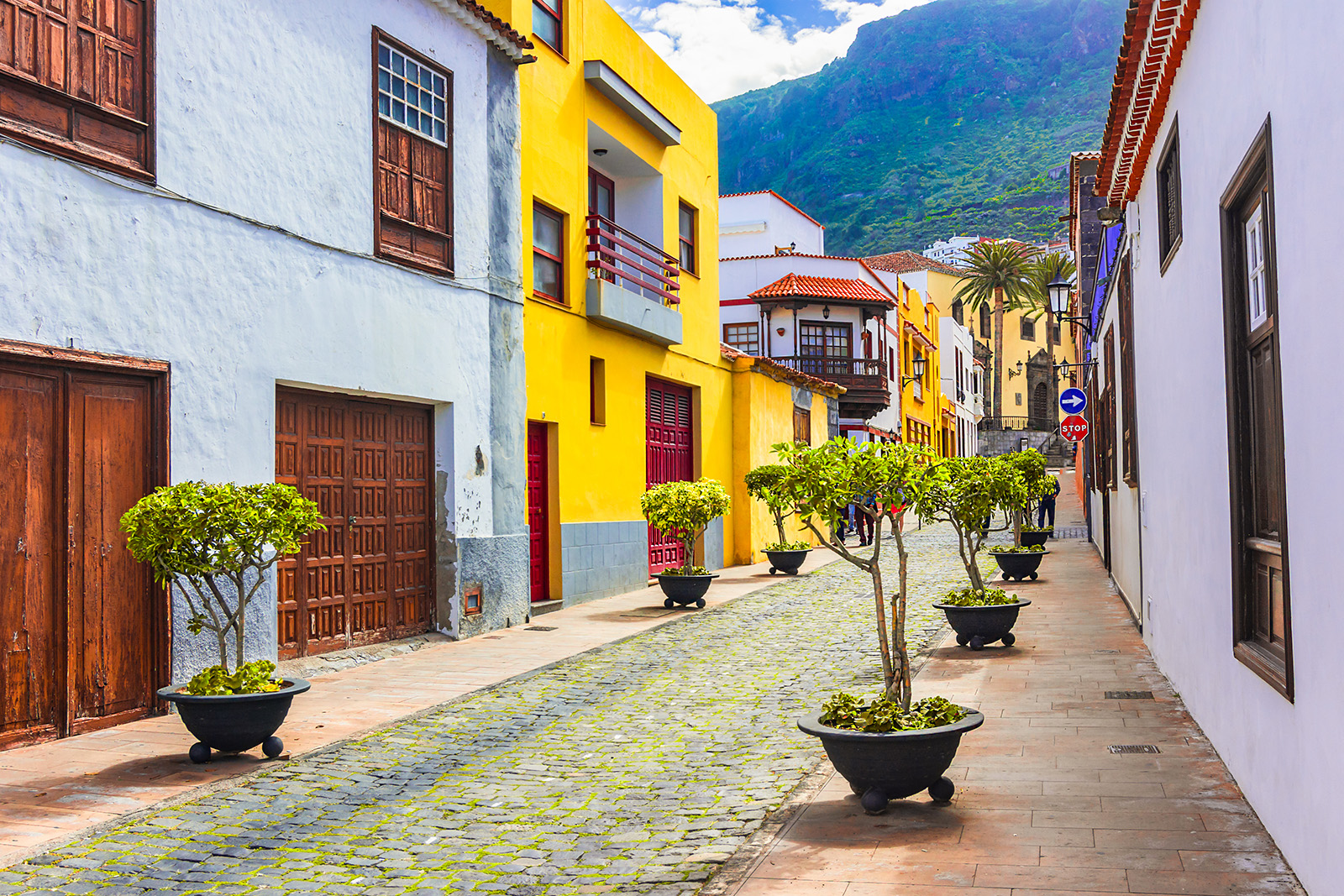 Alleyway with colorful houses and plants along a brick road