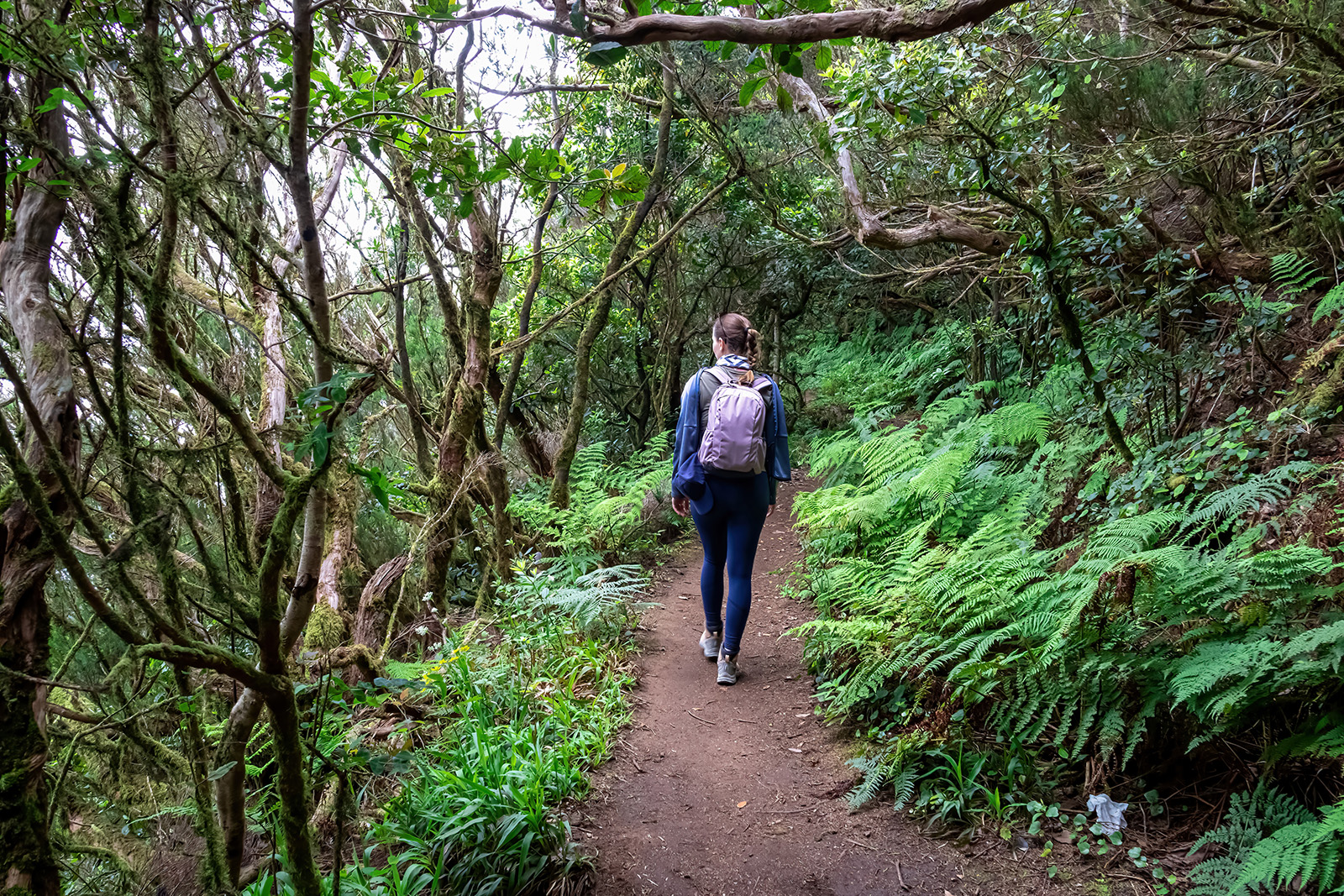 Woman walking on a dirt trail, surrounded by tall trees and plants