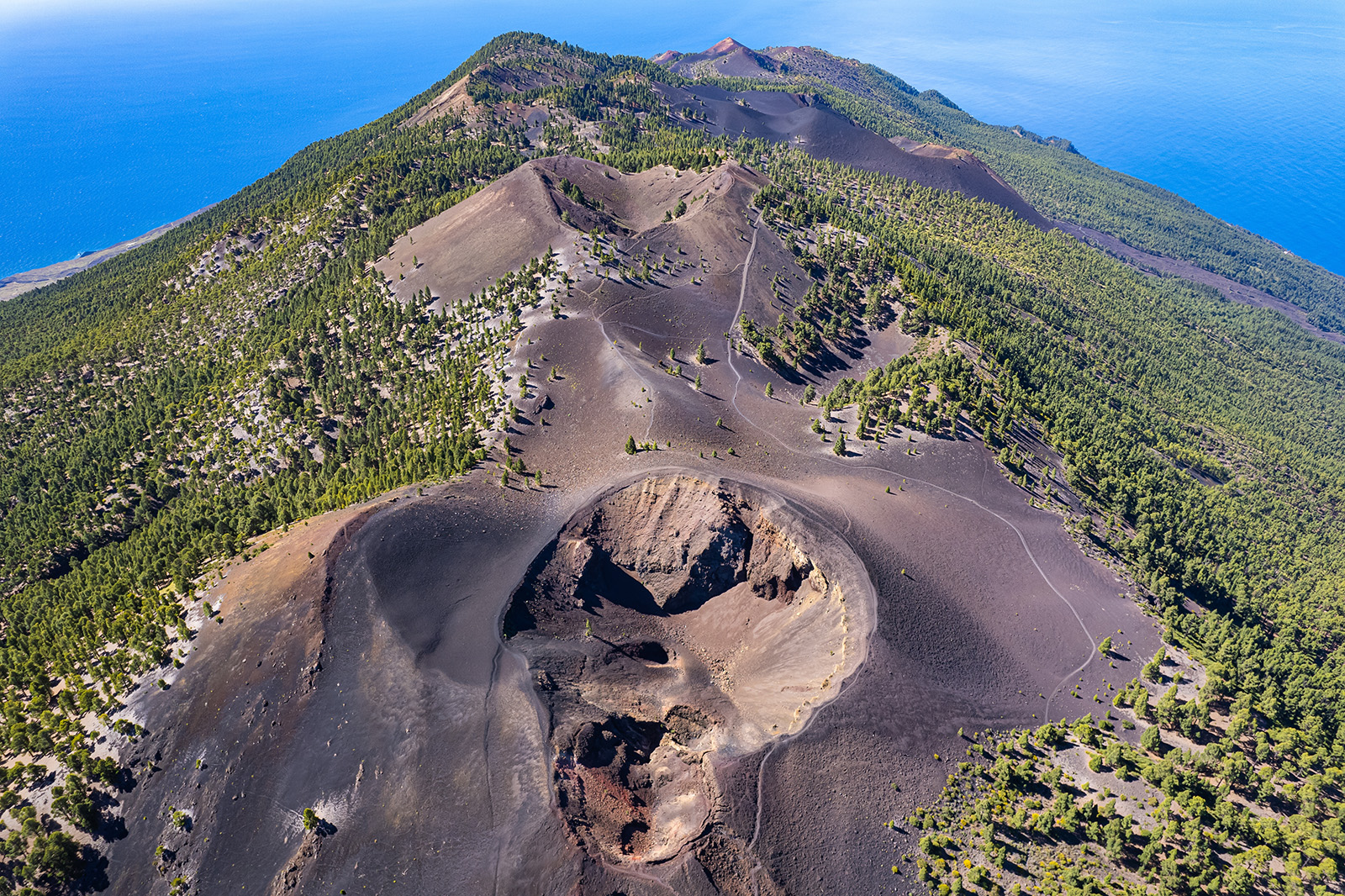 Sky view of dried mountain with lost of tall trees surrounding it