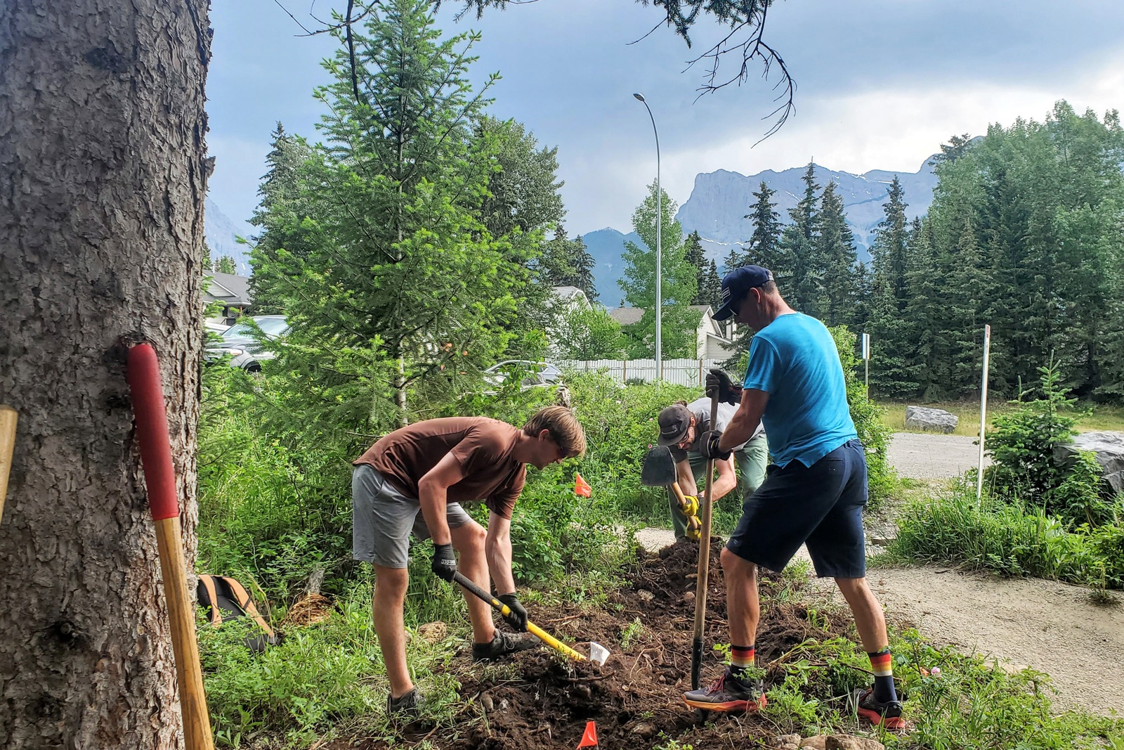 Group of people gardening in the middle of a large field