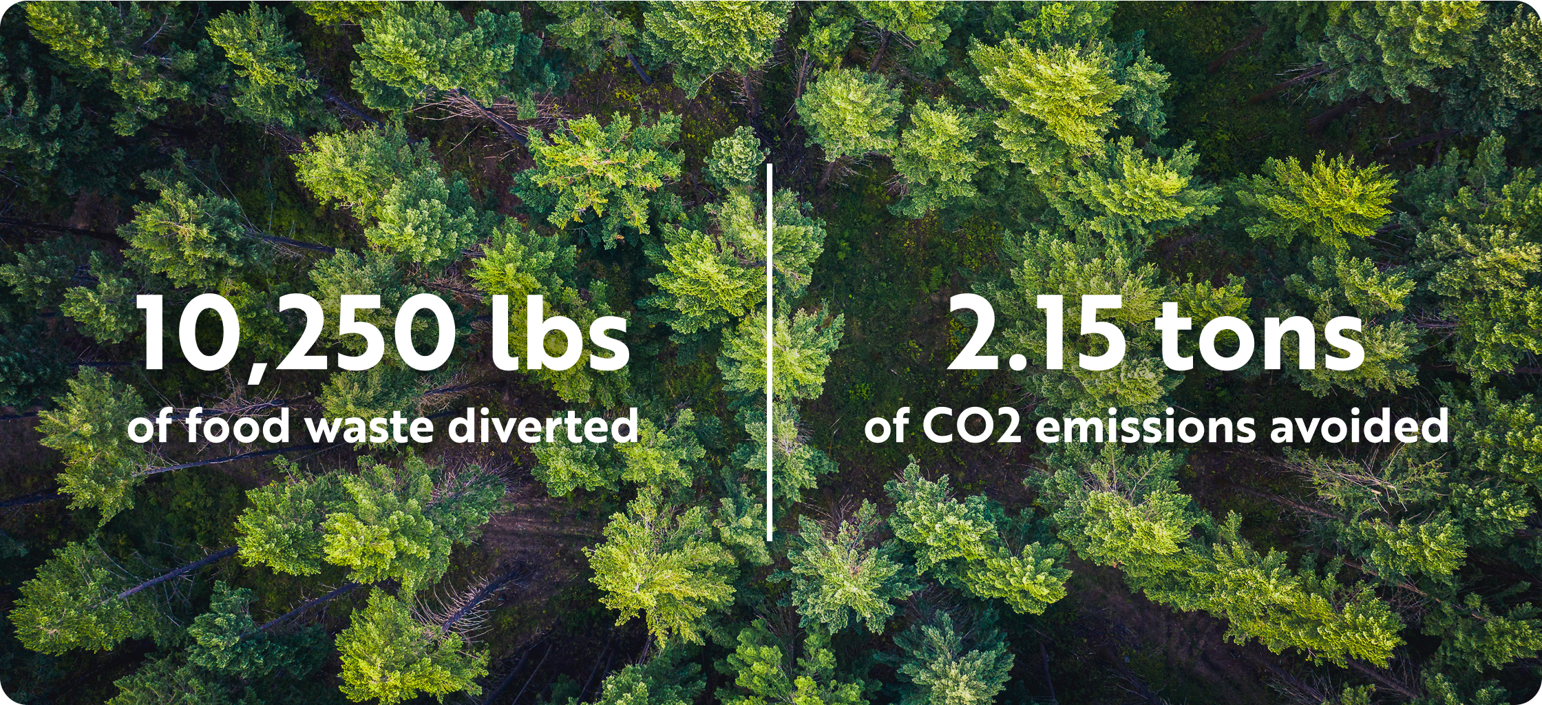 Forest with 10250 lbs of food waste diverted