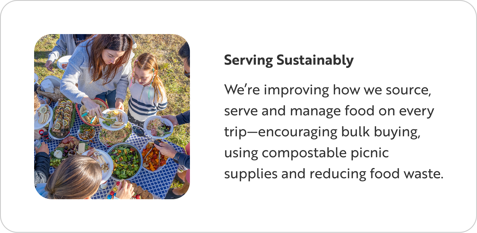 Family at a picnic in the park