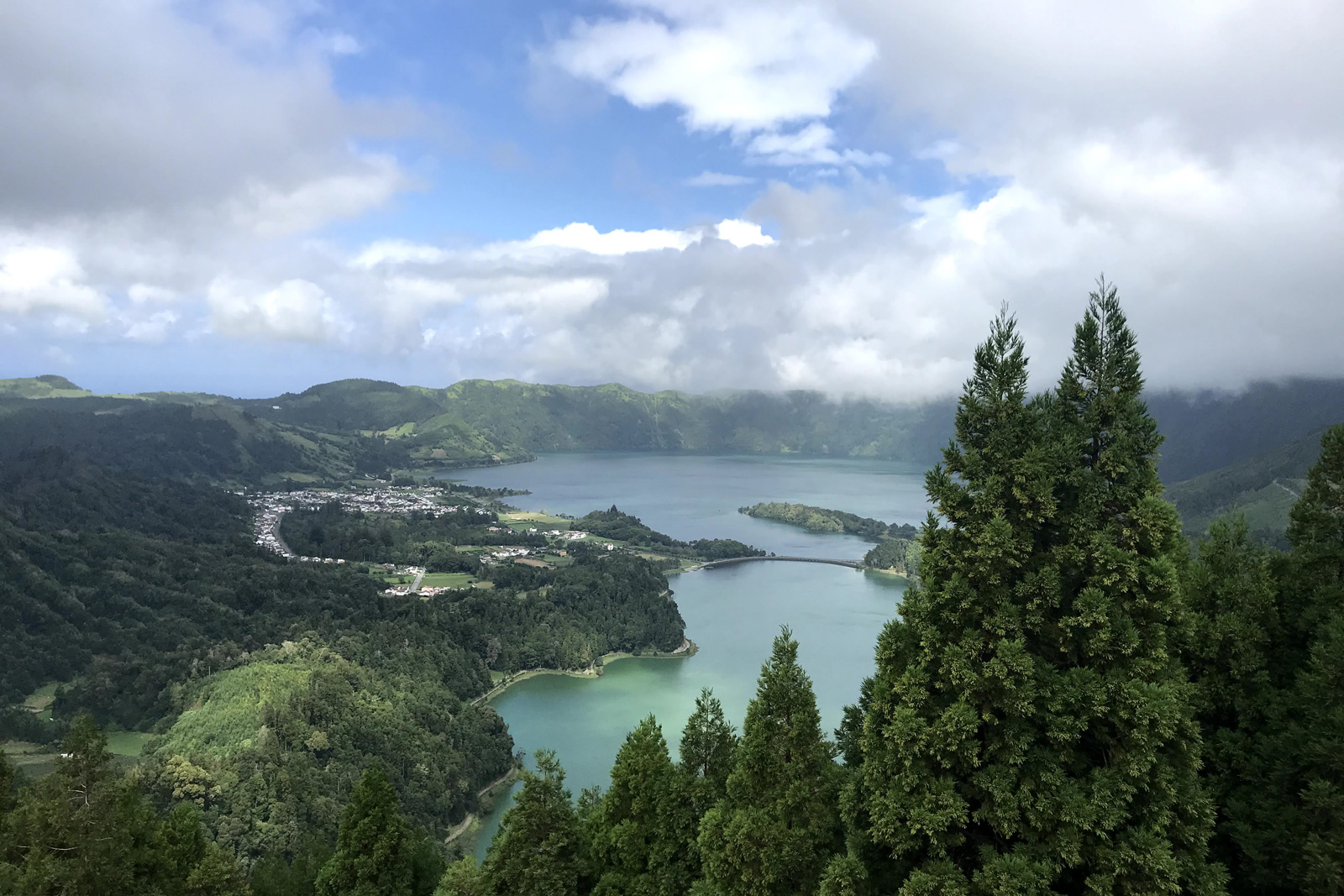 Large lake surrounded by a forest
