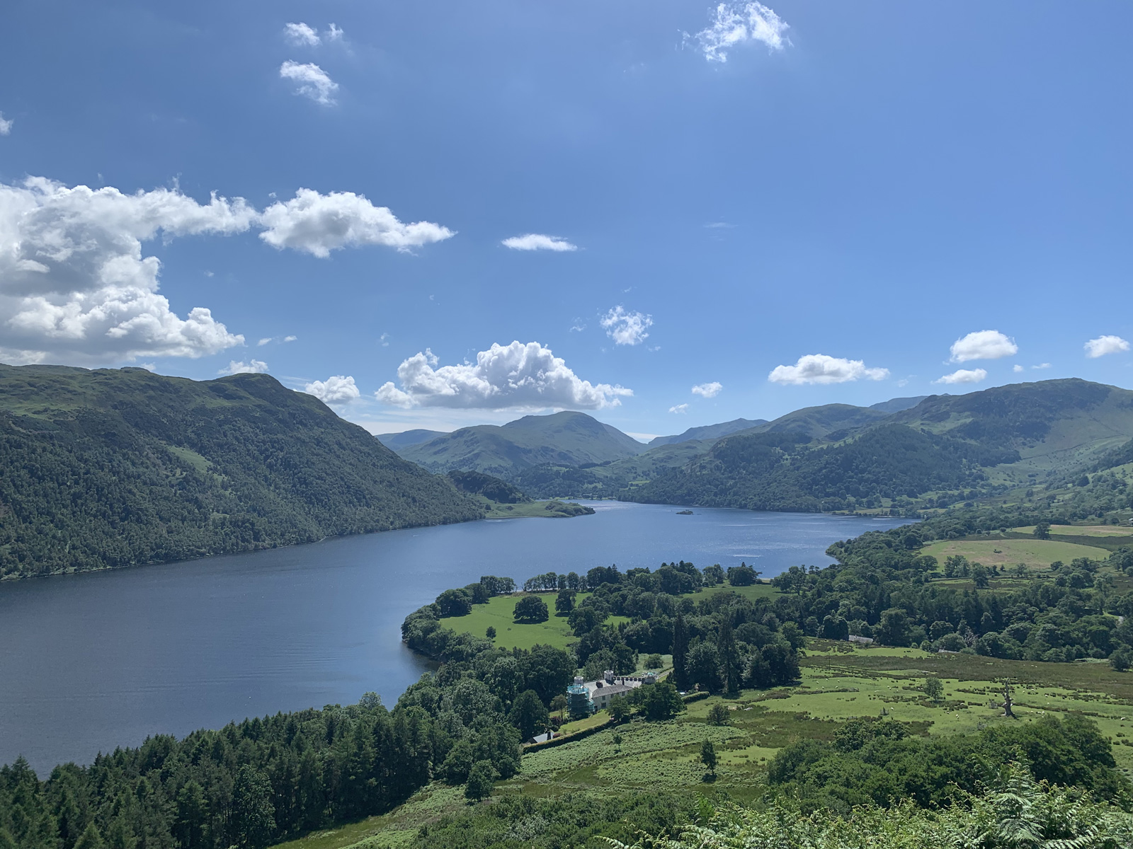 Large lake with grassy area and tall trees to the right