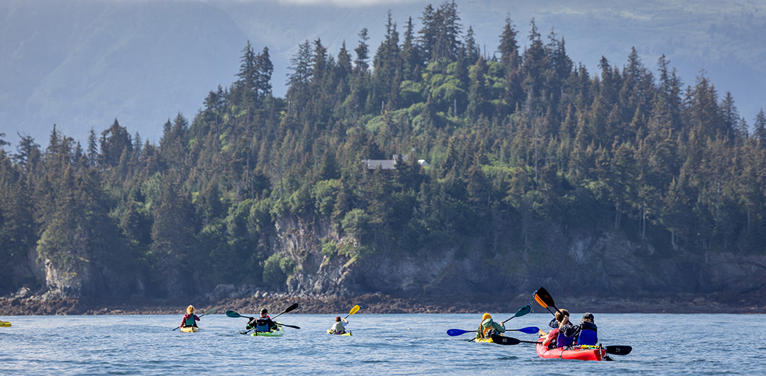 Group of people paddling in individual kayaks towards an island covered in forest