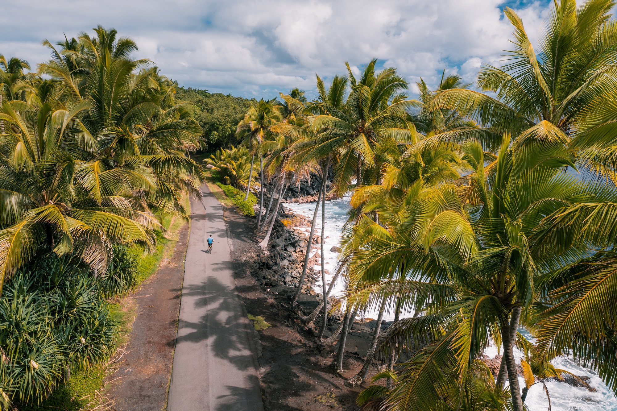 Biker riding on a road with palms trees on the right