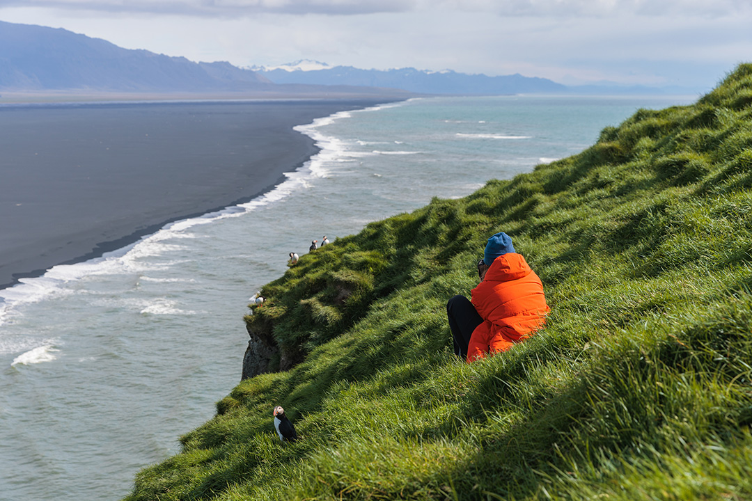 Person sitting on a grassy cliff, taking photos of puffin birds