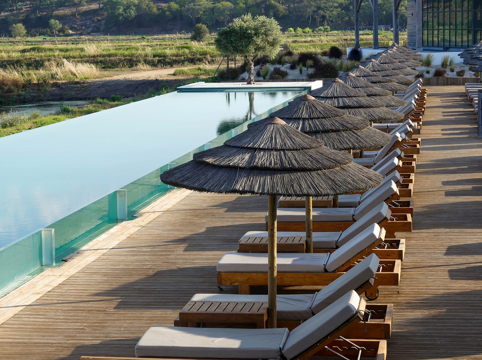 Reclining chairs in front of an infinity pool