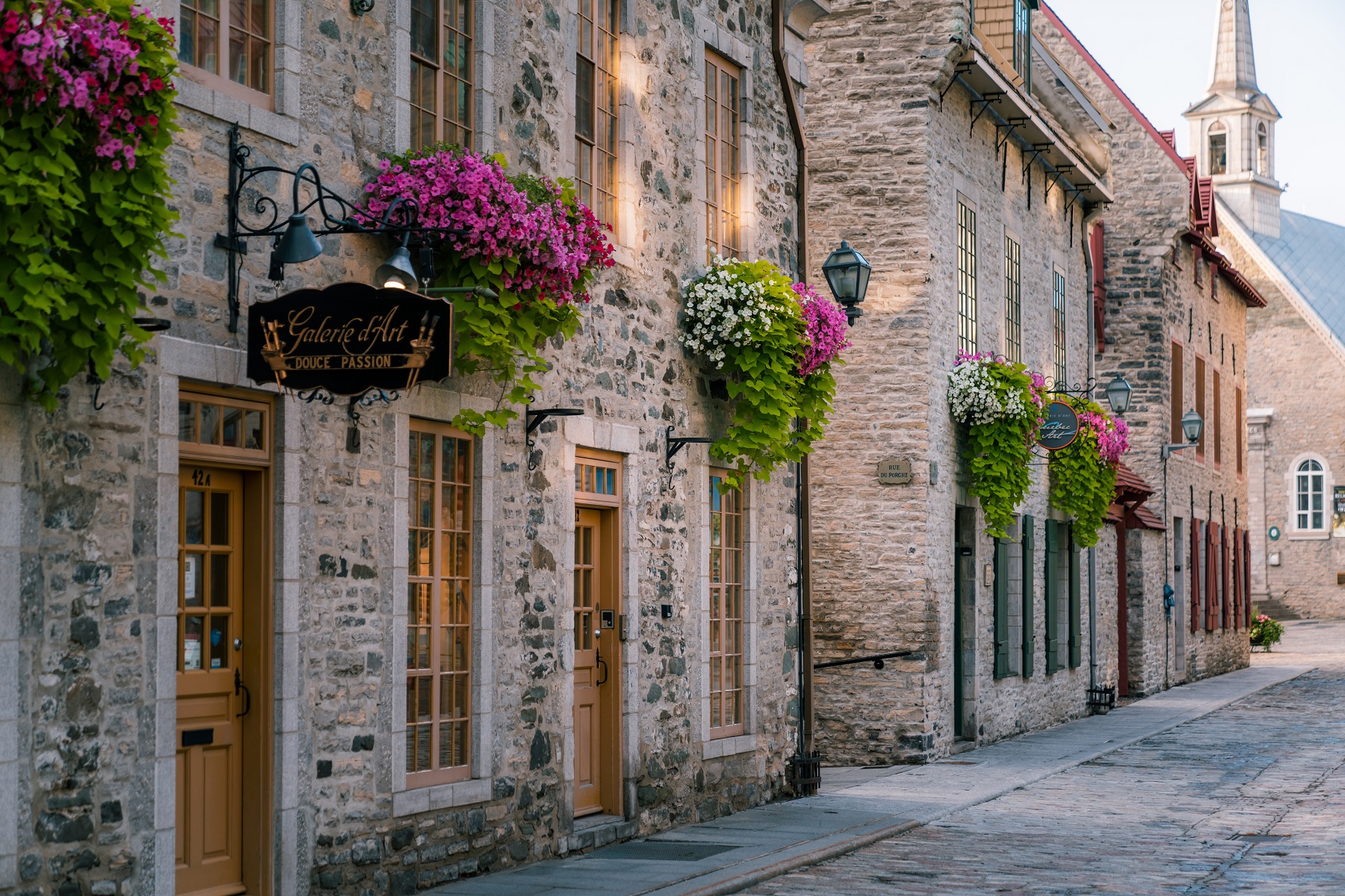 Alleyway with rows of stone houses, with flowers and small plants in front