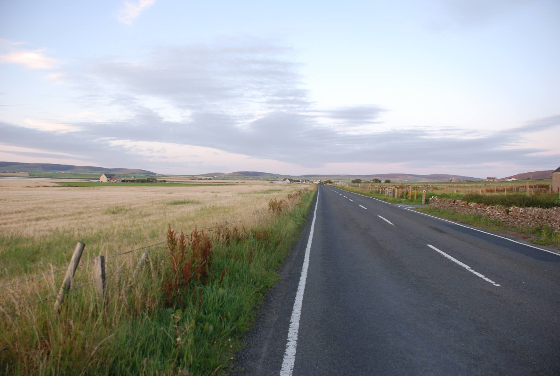 Long road with fields of tall weeds and dried grass to the left