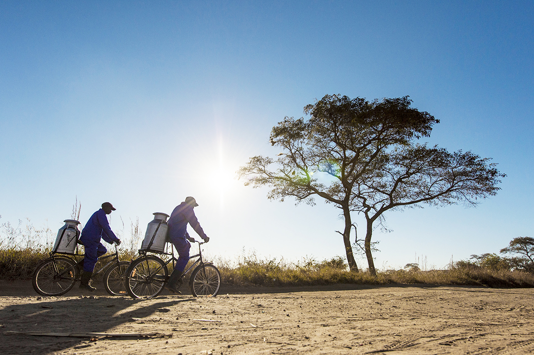 Two people riding bikes with large water bins attached, with a dried tree in the distance