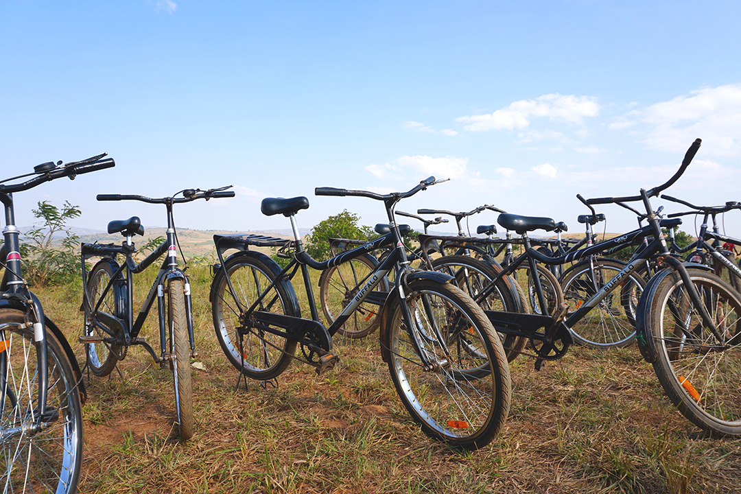 Row of bikes on a grassy valley