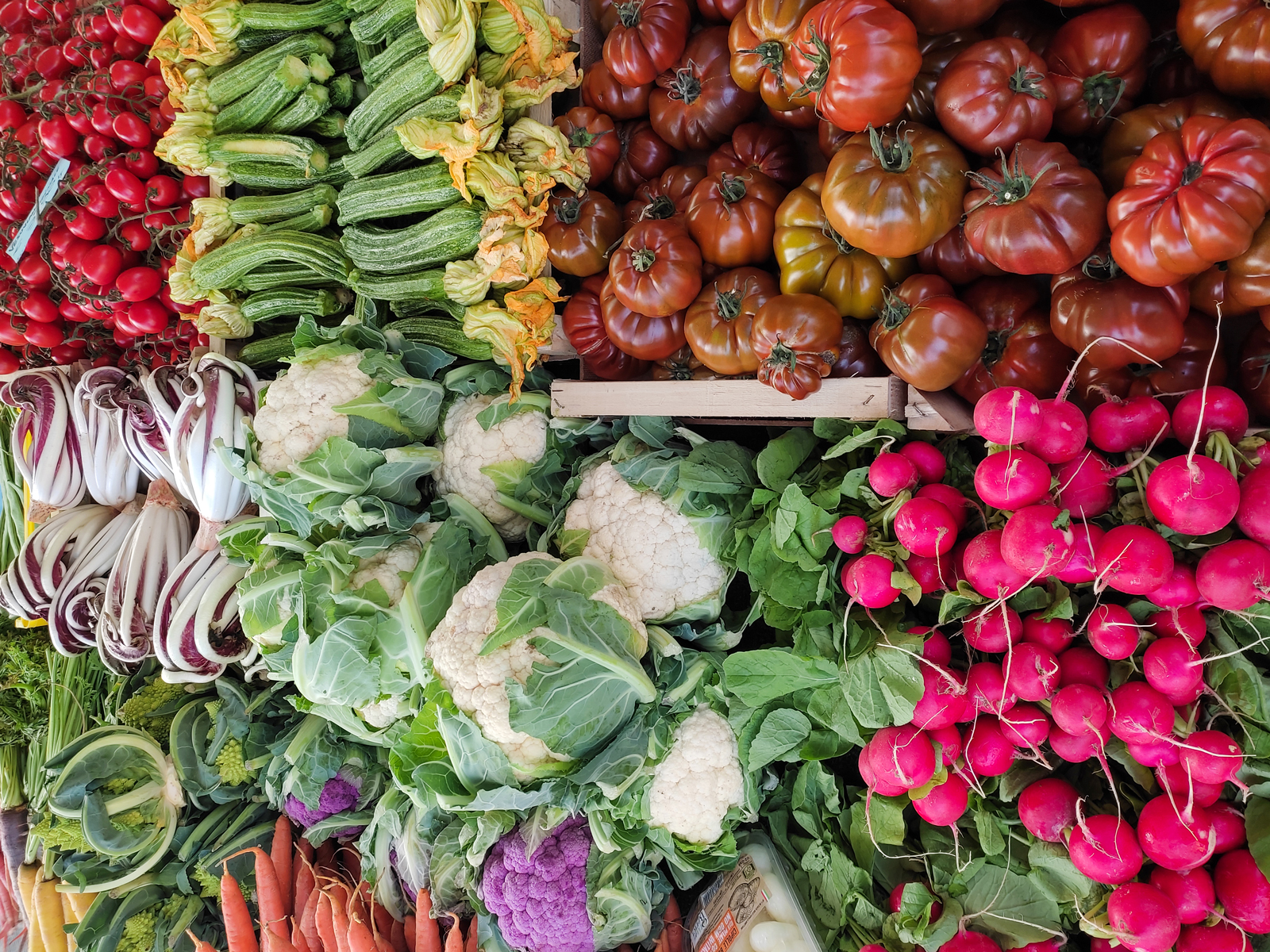 Large assortment of tomatoes, radishes, cauliflower, and squash