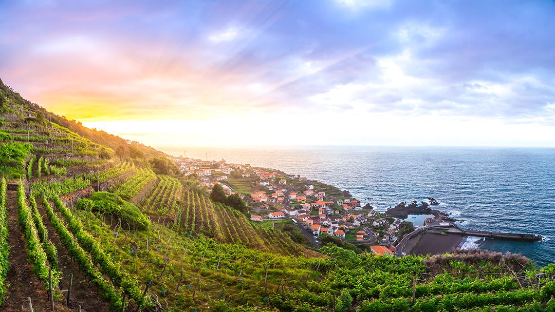 Grassy hill with crops and a town on the ground level