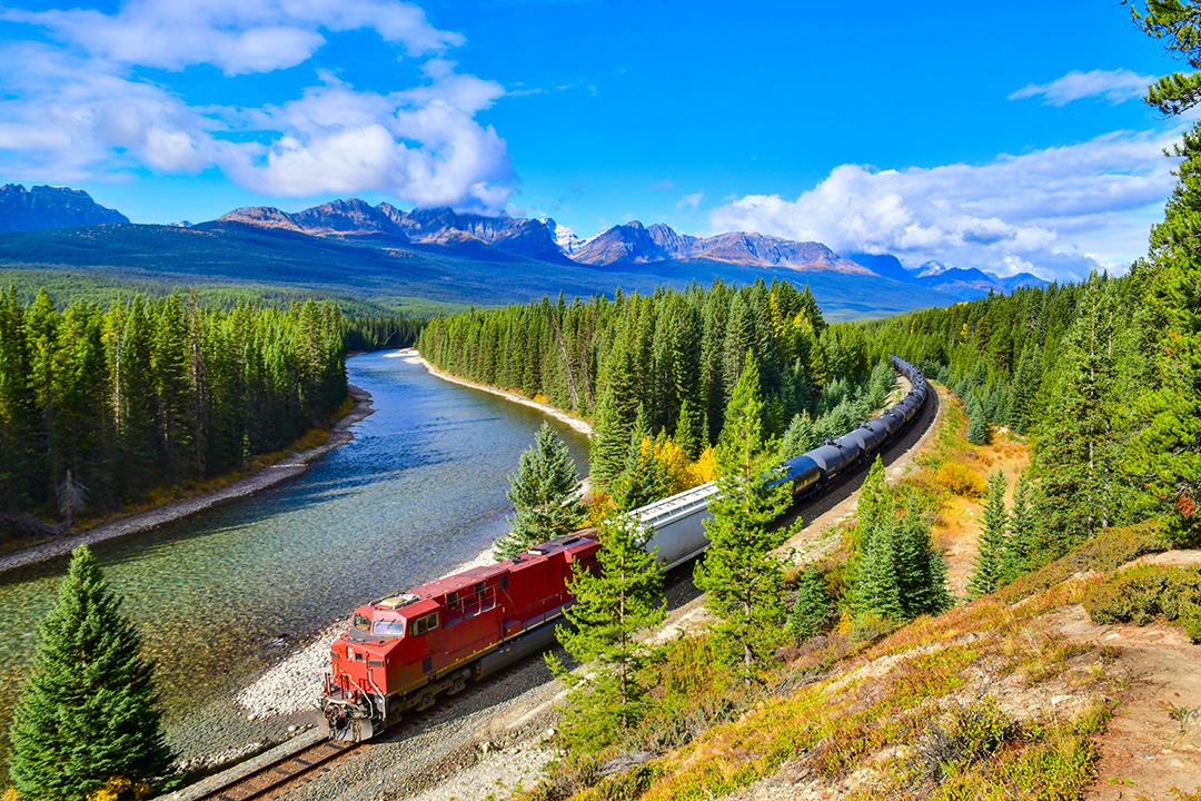 Red train passing through a forest with a river to the left